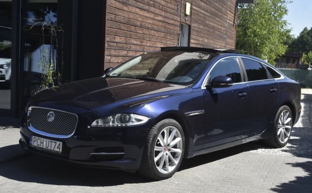 jaguar