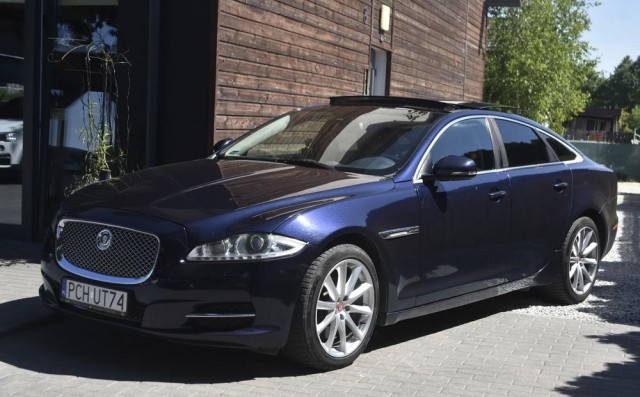 jaguar