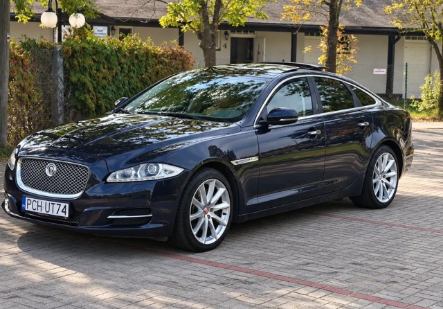 jaguar